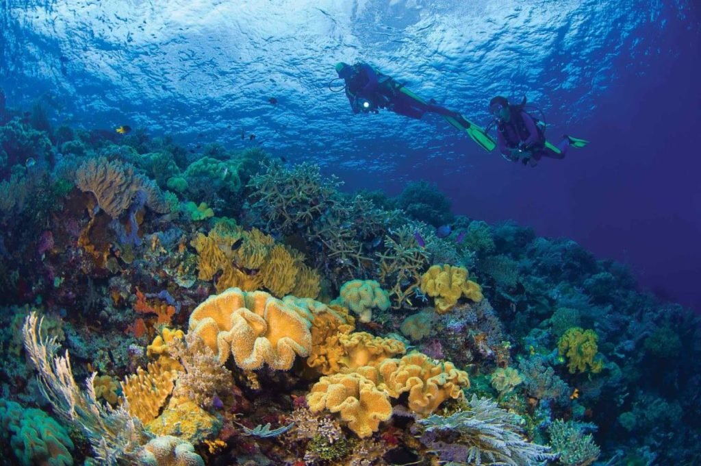 scuba-dive-moyo-island