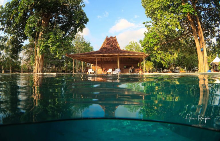 Maleo-Moyo-Diving-Pool